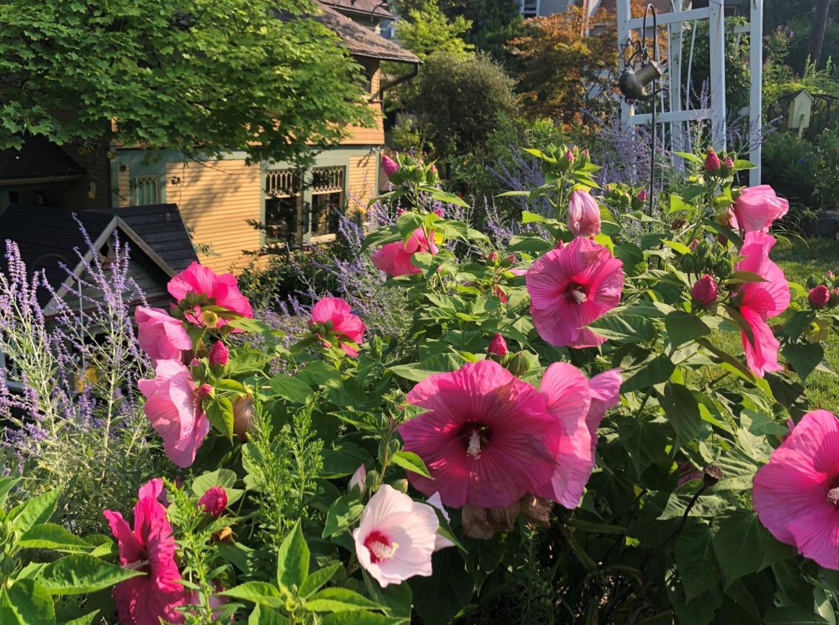 The Queen, A Victorian Bed & Breakfast ベルフォント エクステリア 写真
